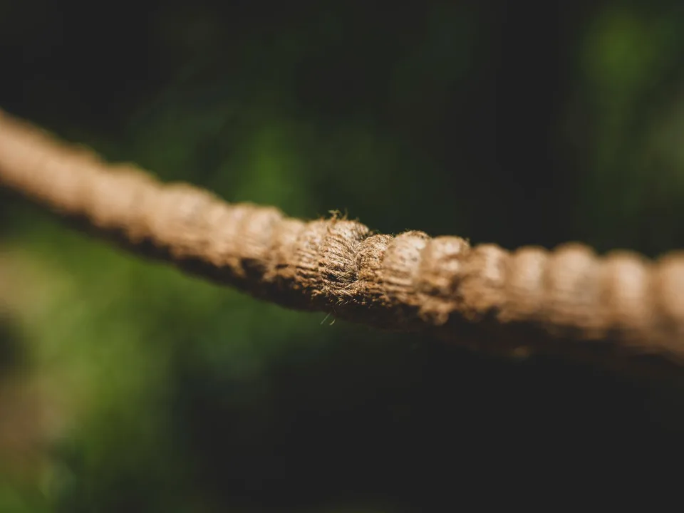 Gros plan sur les fibres apparentes d’un cordage usé